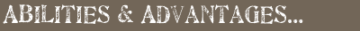 abilities & advantages of marketing professional Megan Starshak Milwaukee